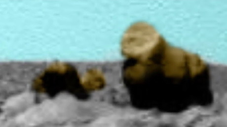 Mars: ‘Alien bear and cub’ identified in latest red planet 'discovery' (VIDEO)