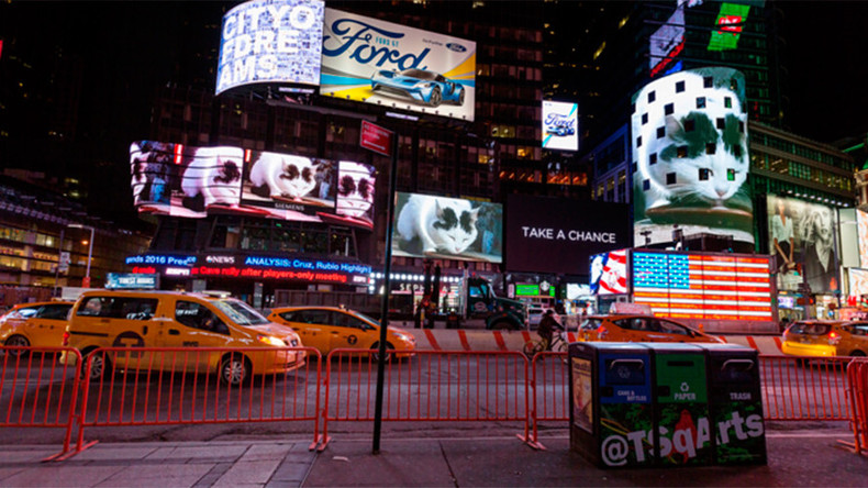 ‘Famous video’ of cat licking milk takes over Times Square...for 3 minutes