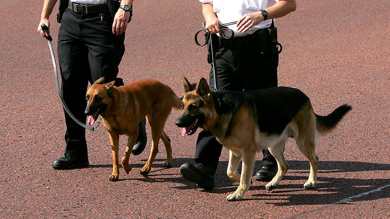 An arm & a leg? Body parts should be used to train police dogs, say academics