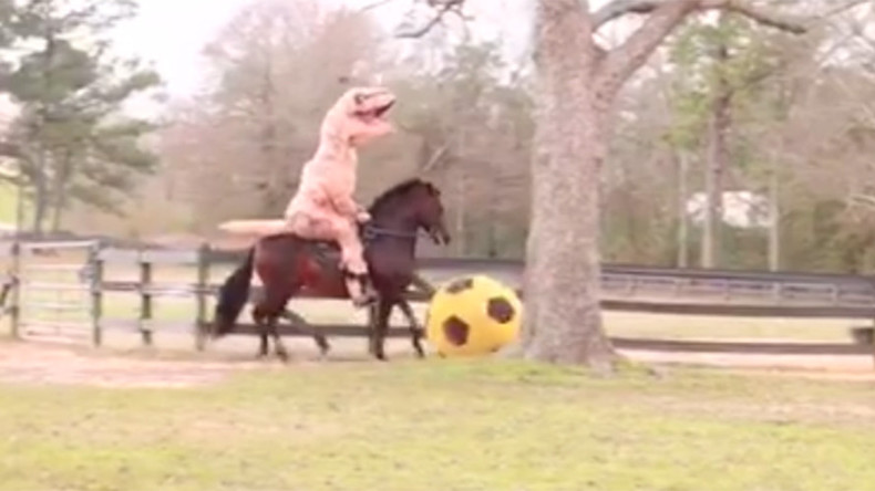 Epic randomness: T-Rex rides horse that kicks giant football (VIDEO)