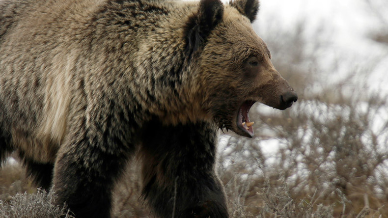 World stocks enter bear market as selloff intensifies 