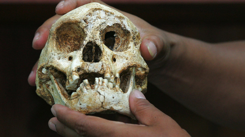 Prehistoric ‘hobbits’ were not deformed humans, but another species – study