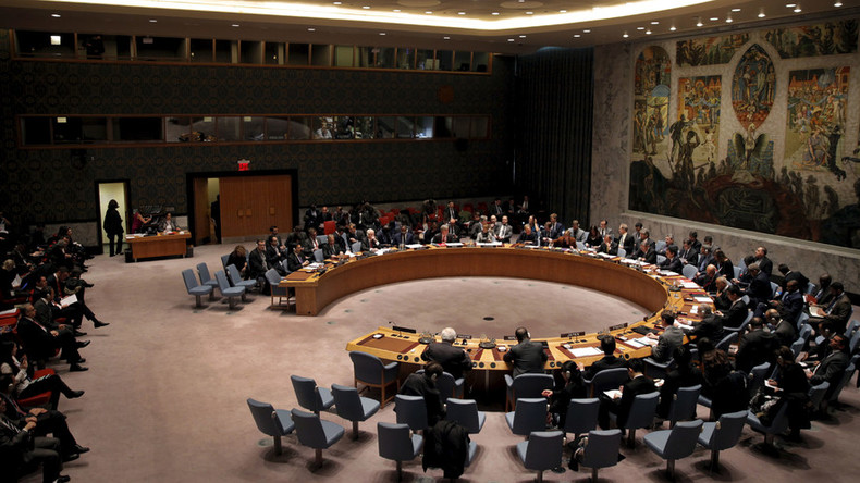 ‘Potential dead end’ – senator warns of consequences of UN SC’s refusal to pass Syria resolution