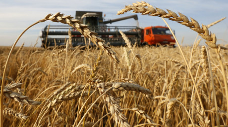 Russia to become world’s largest wheat exporter in 2016