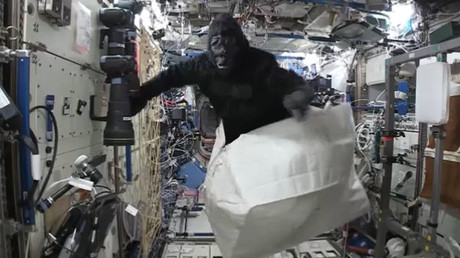 Going bananas? Space ape crashes ISS as crew pulls off prank (VIDEO)