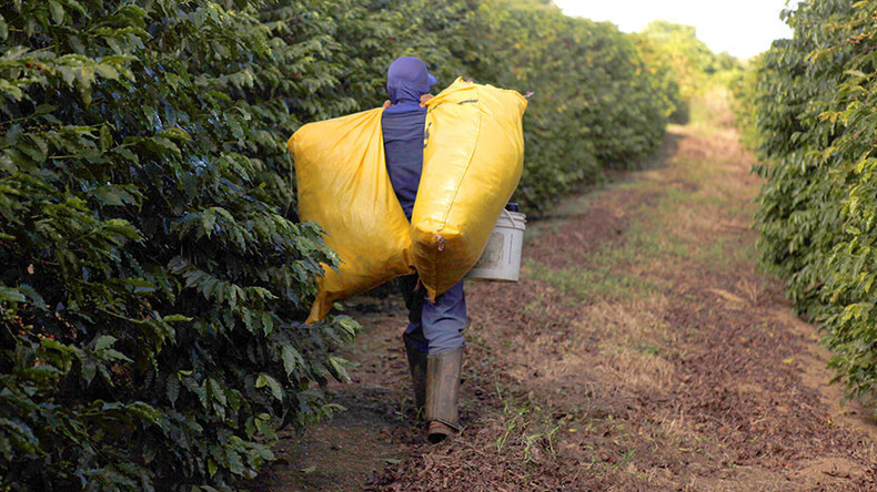 Nestle admits possibility of slave labor in its coffee supply chain