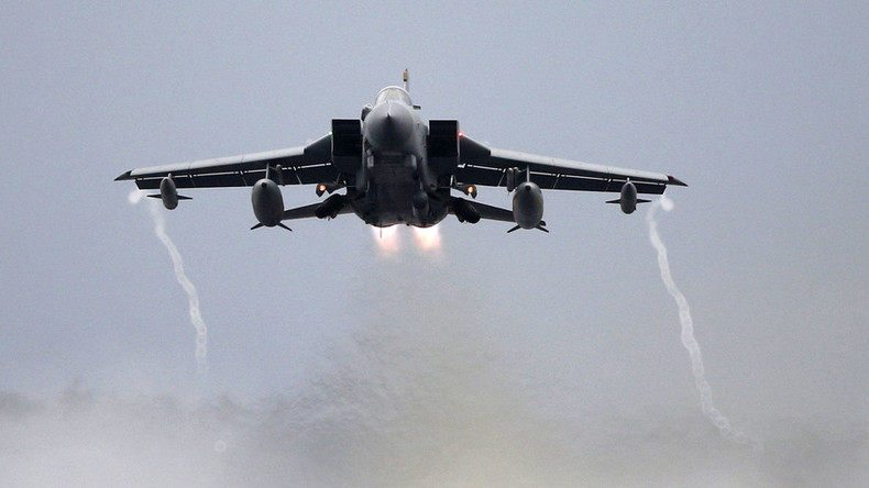 Dogs of war: RAF Tornado jet damaged in collision with feral pooch