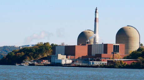 Bird poop blamed for Indian Point nuclear reactor shutdown