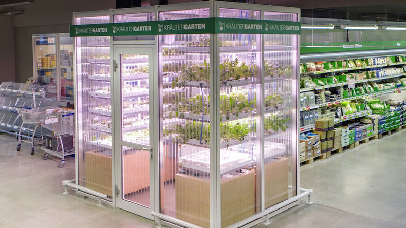 Berlin gets first taste of in-store vertical micro-farms