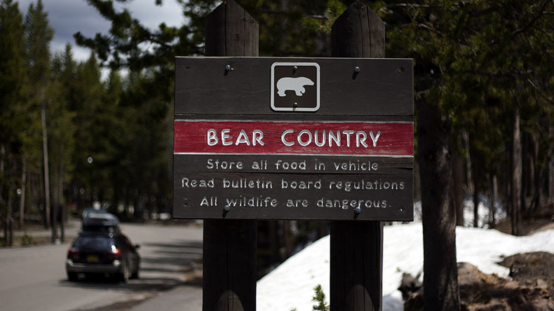 Yellowstone National Park in danger of being ‘loved to death’