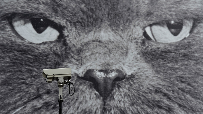 Brits blindly walking into Orwellian surveillance state, survey suggests