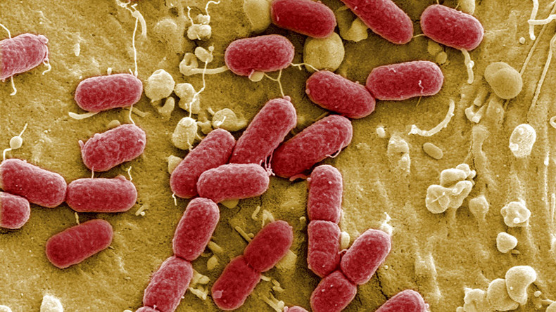 ‘Antibiotic apocalypse’: Drug resistance to kill 10mn in EU & US by 2050, study warns