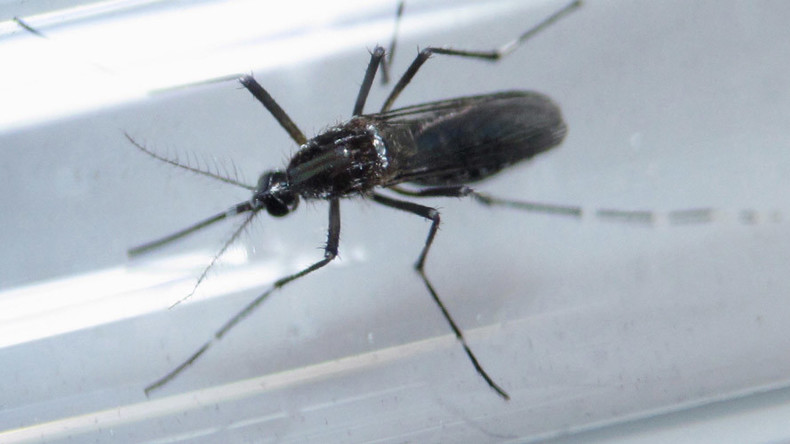 ‘A massive policy failure’: UN-body admits its fault for Zika virus spread 