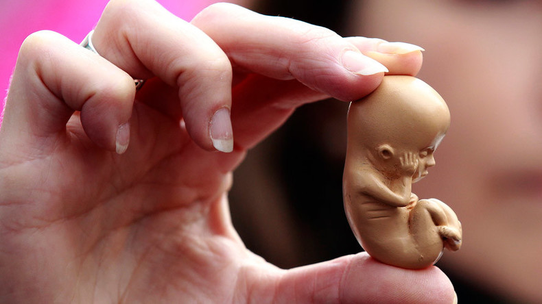 Netherlands to grow human embryos for research