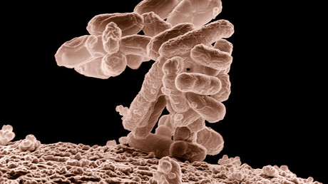 Antibiotic-resistant ‘superbug’ reaches the US for the first time, sets root in Penn.