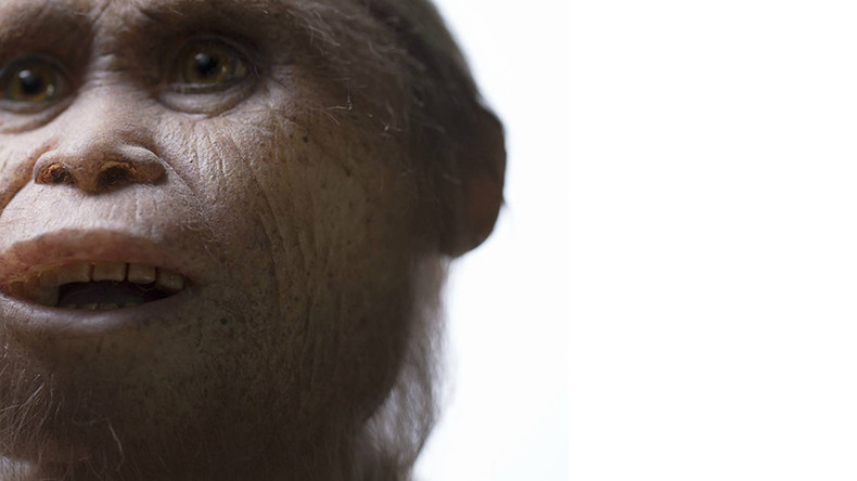 700,000-yr-old ‘hobbit’ fossils found on Indonesian island (PHOTOS)