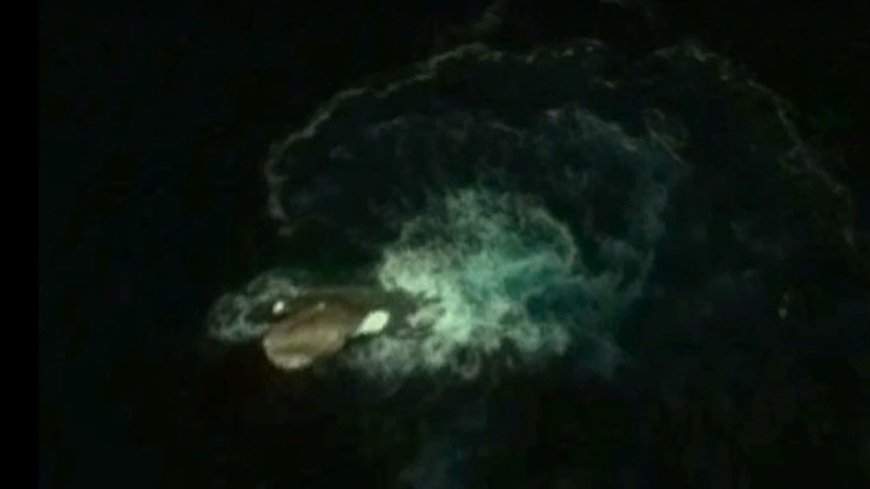 Kraken rumors rife as giant ‘sea creature’ spotted off Antarctica by Google Earth (VIDEO, POLL)