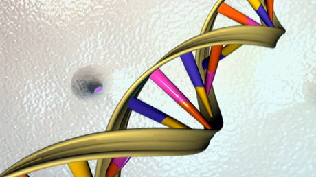 Scientists eye creating synthetic human genomes in lab