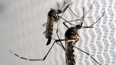 6 Zika-related pregnancies in US, half carried to term with birth defects