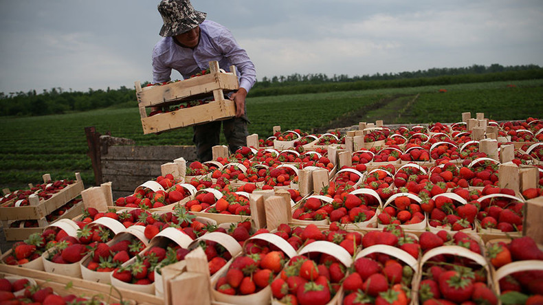 Russia strengthens position on global food market