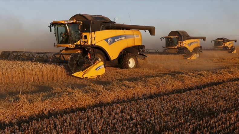 Russia dominates global wheat market