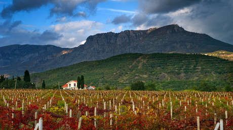 French winery wants to invest in Crimea