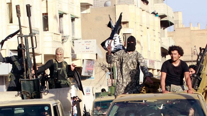 ISIS fills ‘vacuum of power’ in Libya left by US – VA senator to RT (VIDEO)