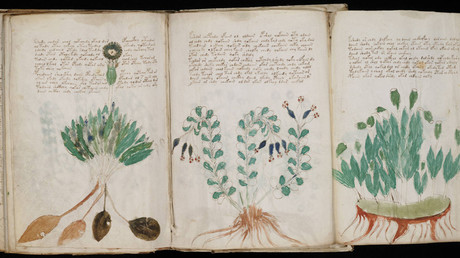 Has the mysterious Voynich manuscript finally been cracked?