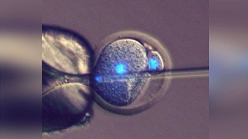 Motherless babies? Egg fertilization not needed for reproduction, scientists say
