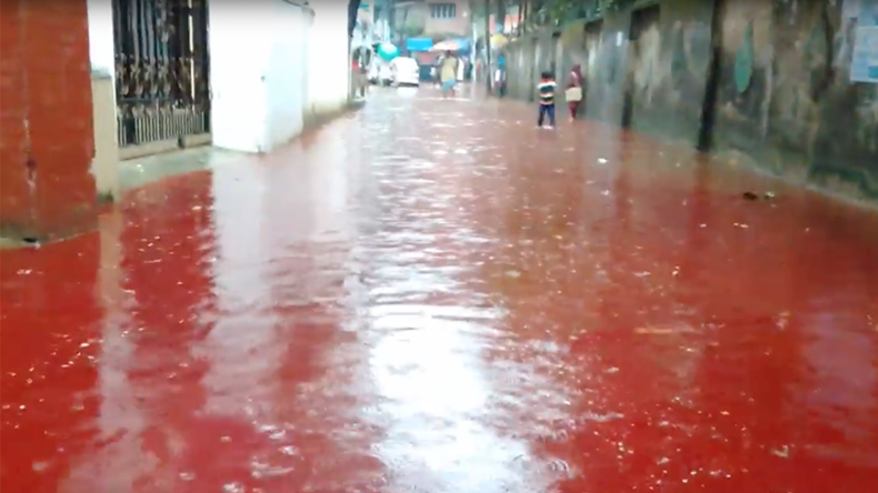 Rivers of blood: Streets of Dhaka turn red after Eid animal sacrifices (PHOTOS, VIDEO)