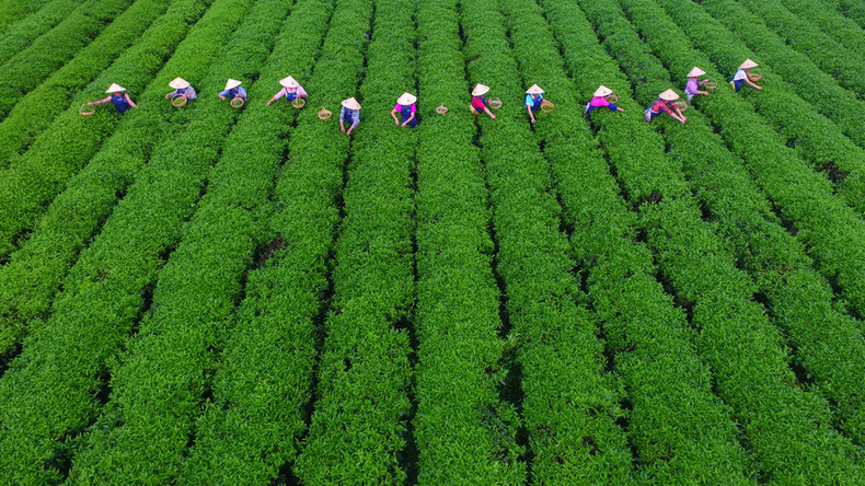 China to invest $450 billion in agriculture