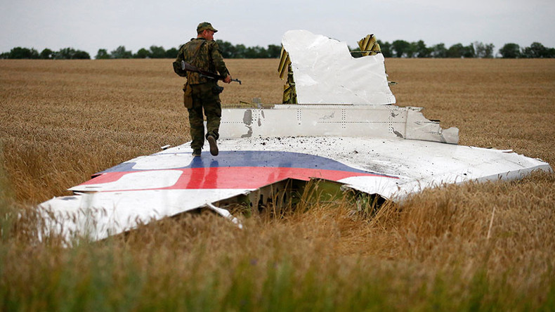 'Military intel must be included in MH17 report despite fears of exposure' – aviation expert