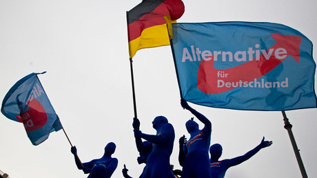 German anti-immigrant AfD gains record high support – poll