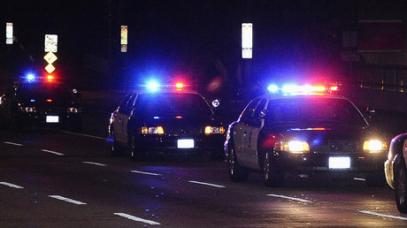 California police abuse state databases with impunity – report