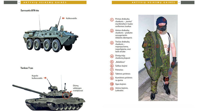 Dress warm, pack condoms, hide: Lithuania writes guerilla manual for Russian invasion