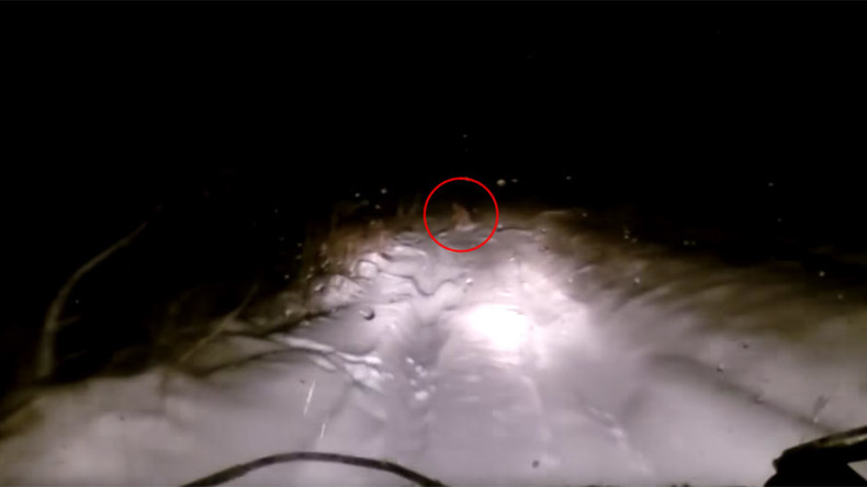 Has this dashcam captured ‘Yeti’ in snowy Russian forest? (VIDEO)