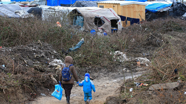 Refugee children from Calais camp forced to work on farms in France – report