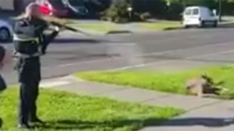 Cop caught on camera shooting kangaroo seconds before child passes by