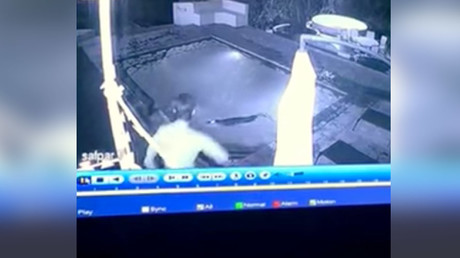 CCTV captures horrifying crocodile attack on couple in pool (VIDEO)
