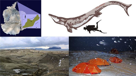 Evidence of enormous ancient sea lizard found in Antarctica 