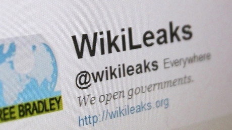 ‘Sniffers & taps on journalists’: WikiLeaks publishes emails as whistleblower Brown is paroled 