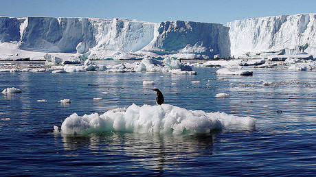 Chunk of ice ‘the size of India’ disappears from polar regions