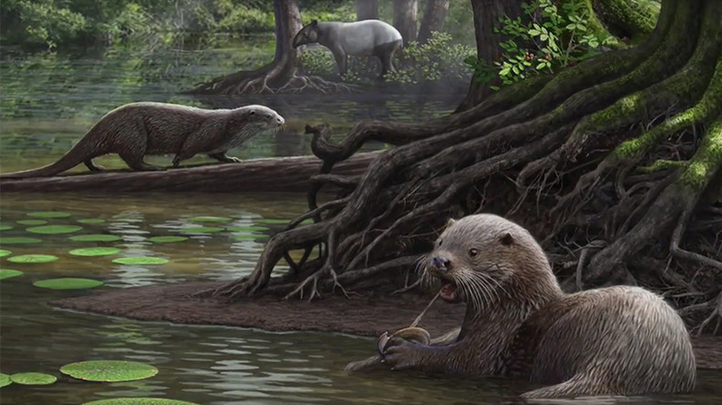 Giant predatory otters roamed China 6 million years ago - new research