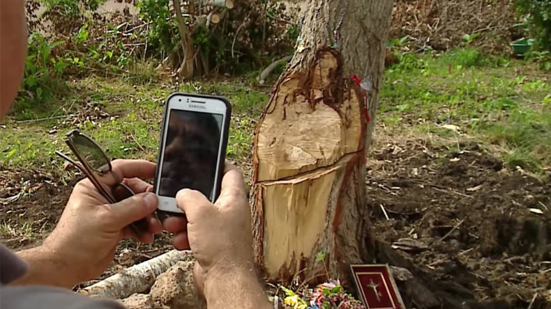 Stickmata? ‘Tree Jesus’ draws believers to dead trunk in Argentina (VIDEO)