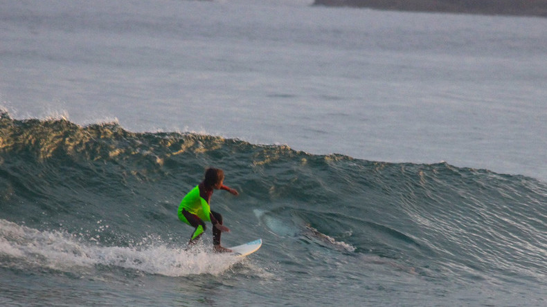 Photobombed by a great white: Menacing shark tracks child surfer (PHOTO)