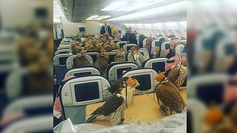 Astonishing pets on planes: Saudi royalty buys airfare for 80 falcons (PHOTOS)