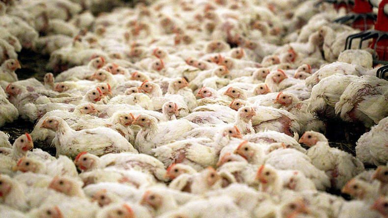 ‘Chlorine chicken’ could be added to UK menu after Brexit deal