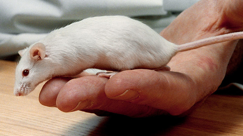 Scientists restore hearing in deaf mice using advanced gene therapy