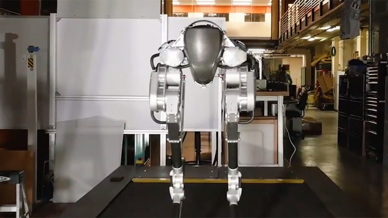 Raptor legs & human hips: Giant leap for walking robots