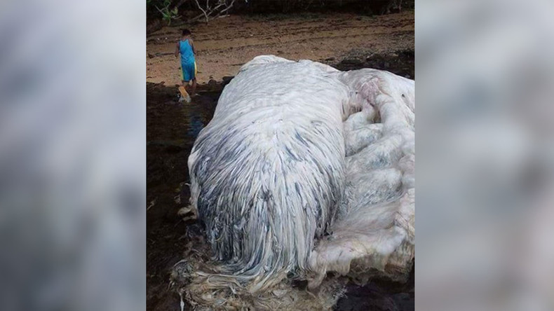 Horrifying ‘sea monster’ carcasses found washed up on Philippines beaches (PHOTOS)